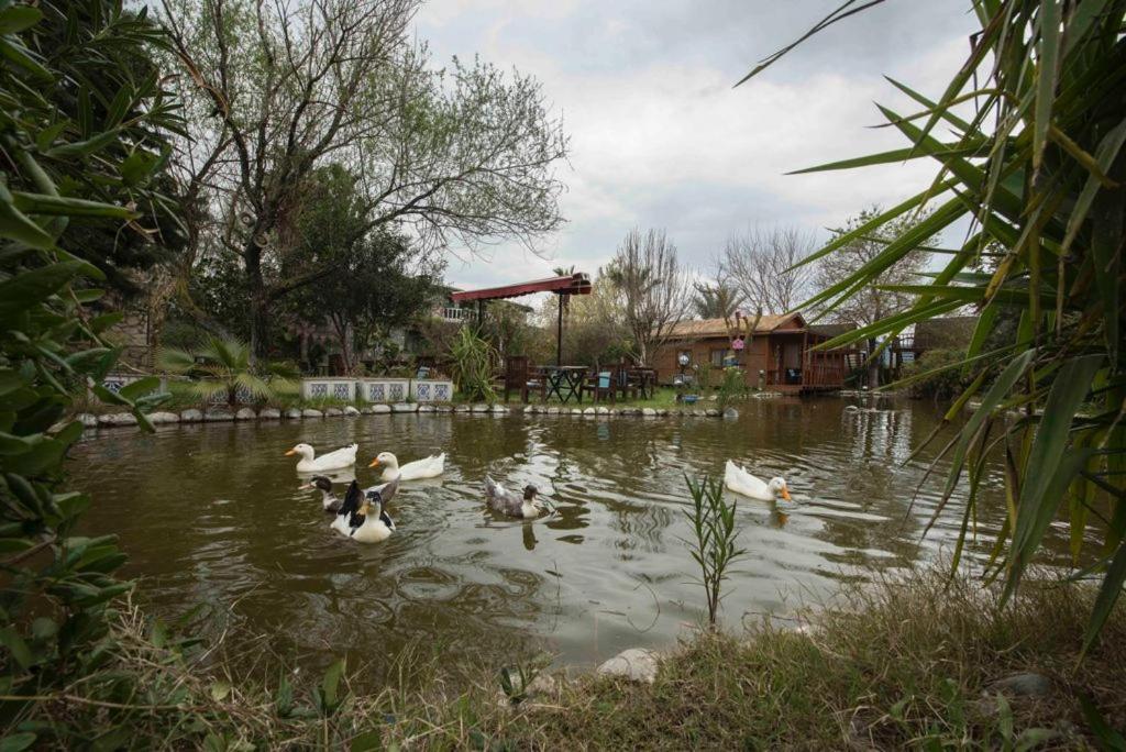 Otantik Tas Ev Panzió Dalaman Kültér fotó