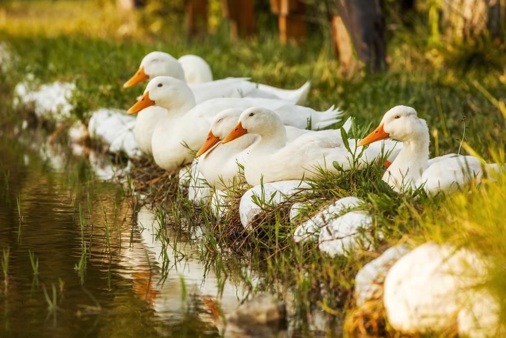 Otantik Tas Ev Panzió Dalaman Kültér fotó